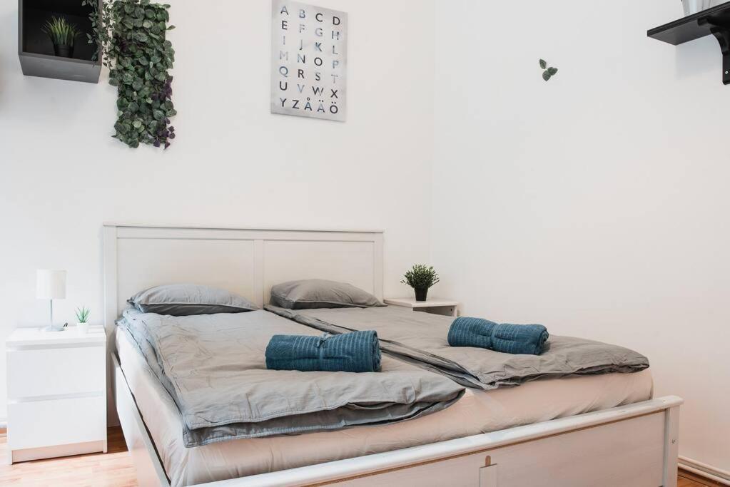 Big Apartment In The City Centre Budapest Extérieur photo