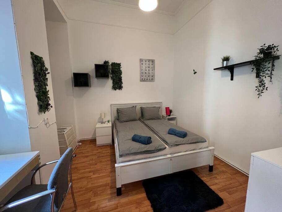 Big Apartment In The City Centre Budapest Extérieur photo