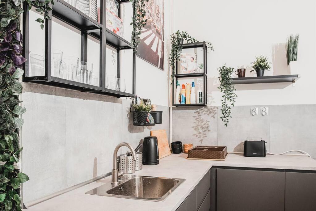 Big Apartment In The City Centre Budapest Extérieur photo